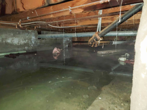 Best Local water damage restoration  in Lawrence, MA