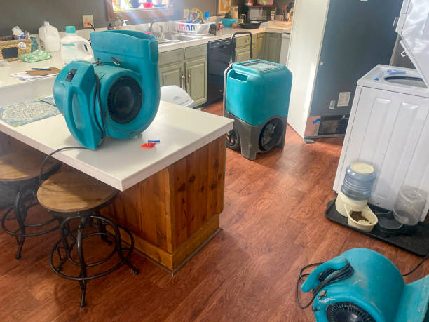Best Ceiling water damage repair  in Lawrence, MA
