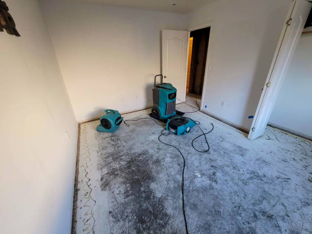 Best Water damage contractors near me  in Lawrence, MA