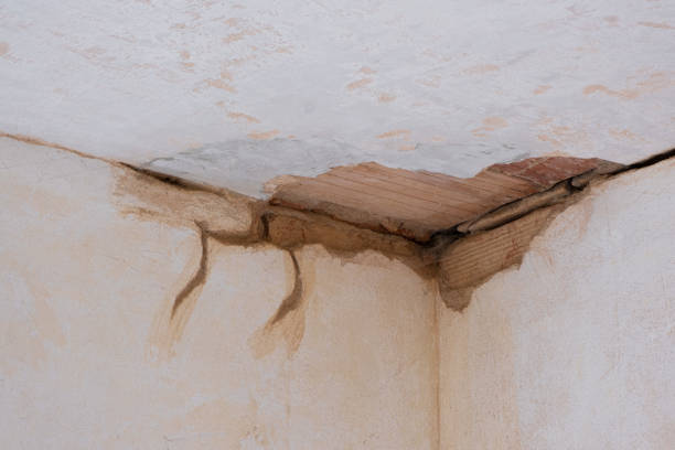 Best Fire Damage Restoration  in Lawrence, MA