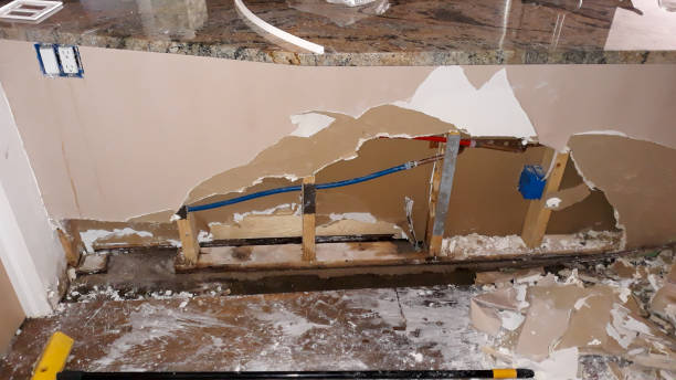 Best Mold removal after water damage  in Lawrence, MA