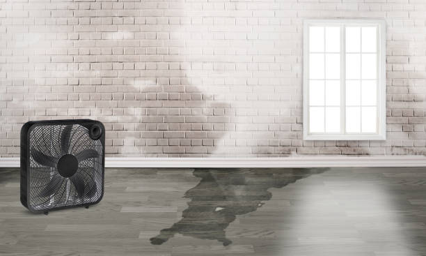 Best 24-hour water damage restoration  in Lawrence, MA